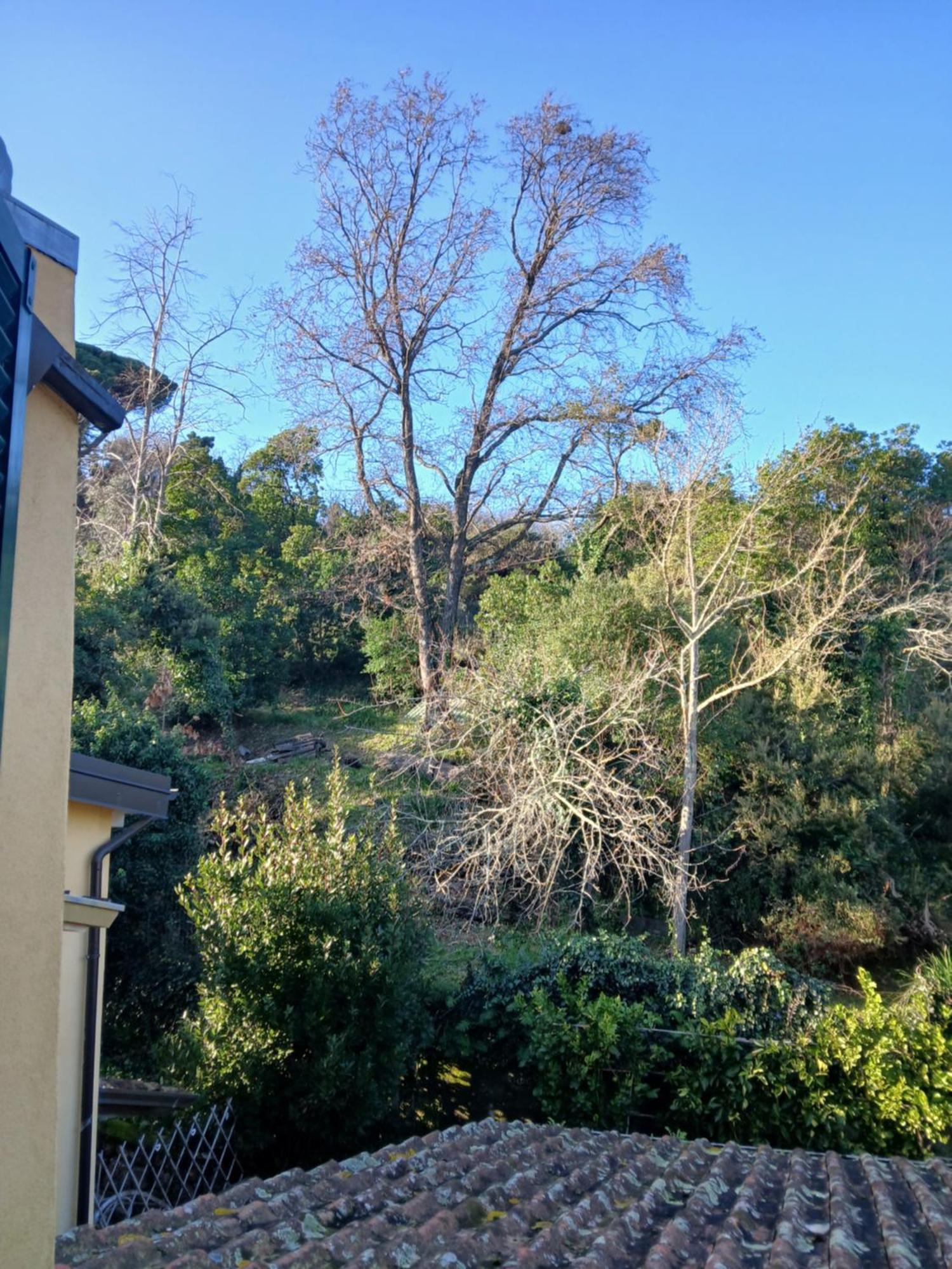 Casa Misha Tra 5 Terre E Versilia Bocca di Magra Extérieur photo