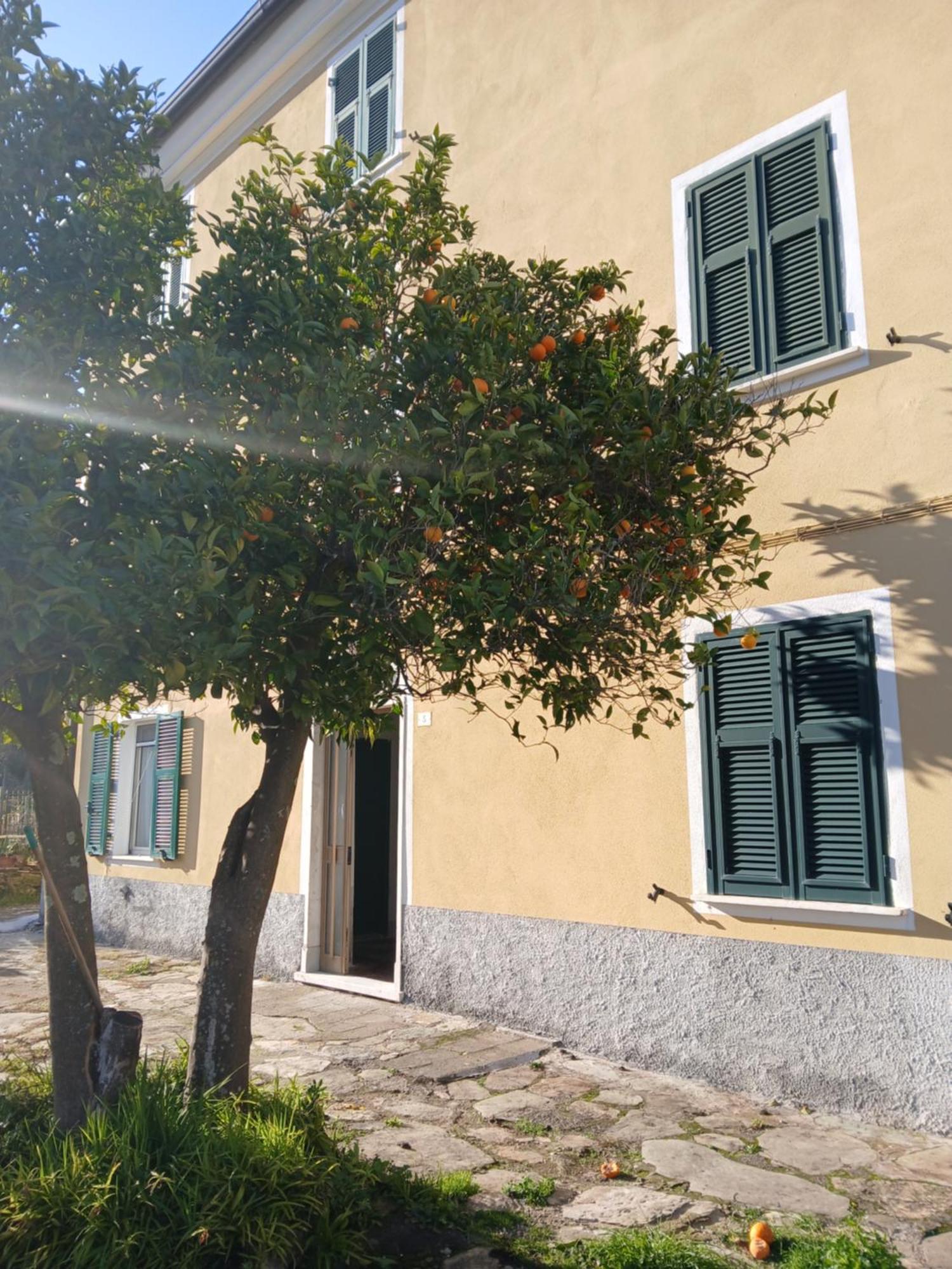 Casa Misha Tra 5 Terre E Versilia Bocca di Magra Extérieur photo